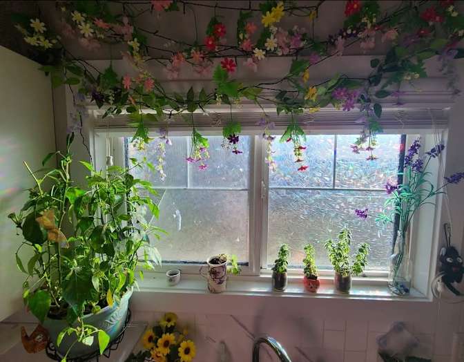 Photo of Yuna's room