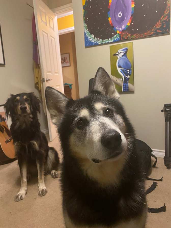 Photo of Greg's room