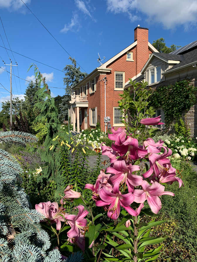 Photo of Jennifer and Larry's room