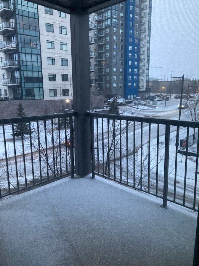 Photo of Shelly's room