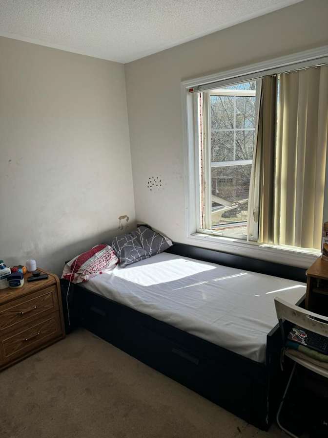 Photo of Shaheen's room