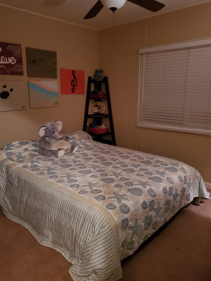 Photo of Lissa's room