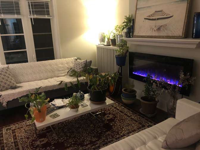 Aurelia House's room