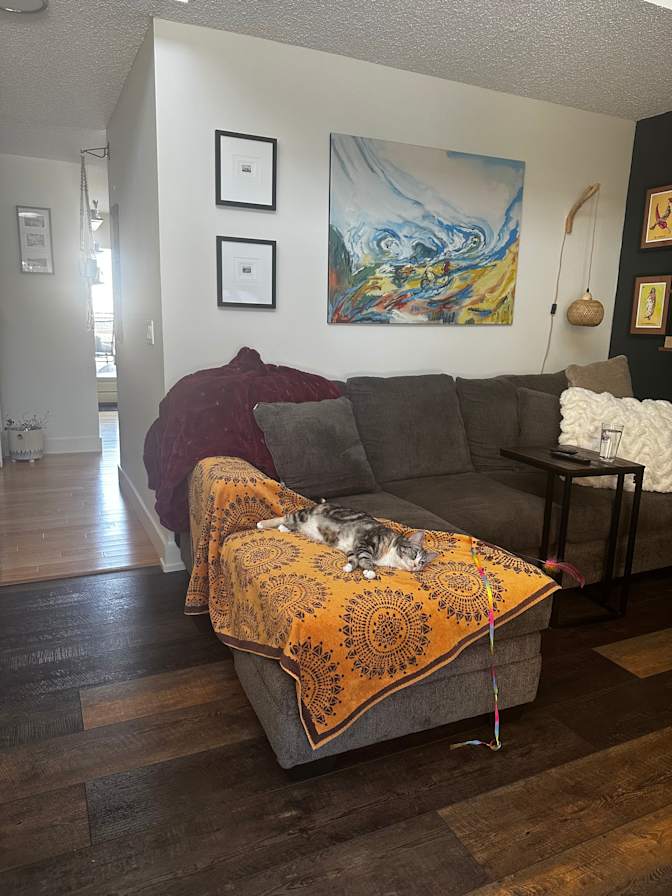 Trisha Neville's room