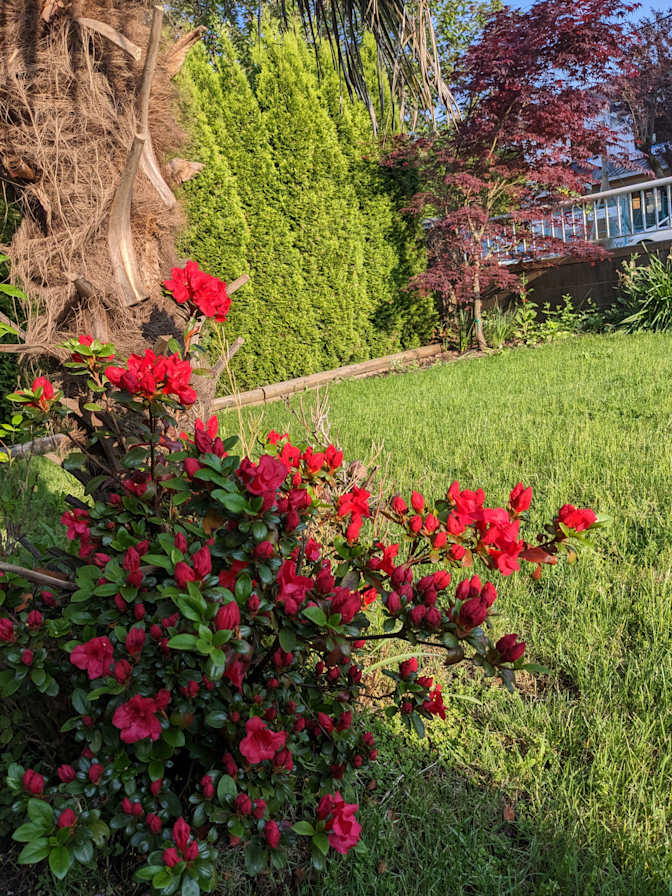 Photo of Rachel's room