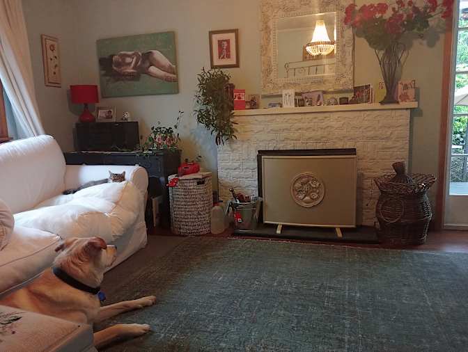 Photo of Karyn's room