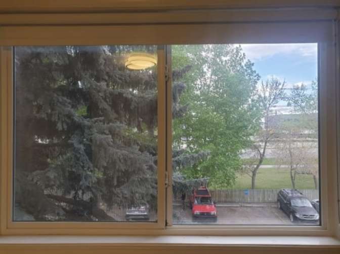 Photo of Tasin's room