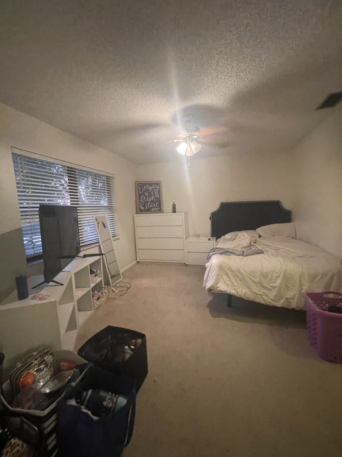 Photo of Teesha's room