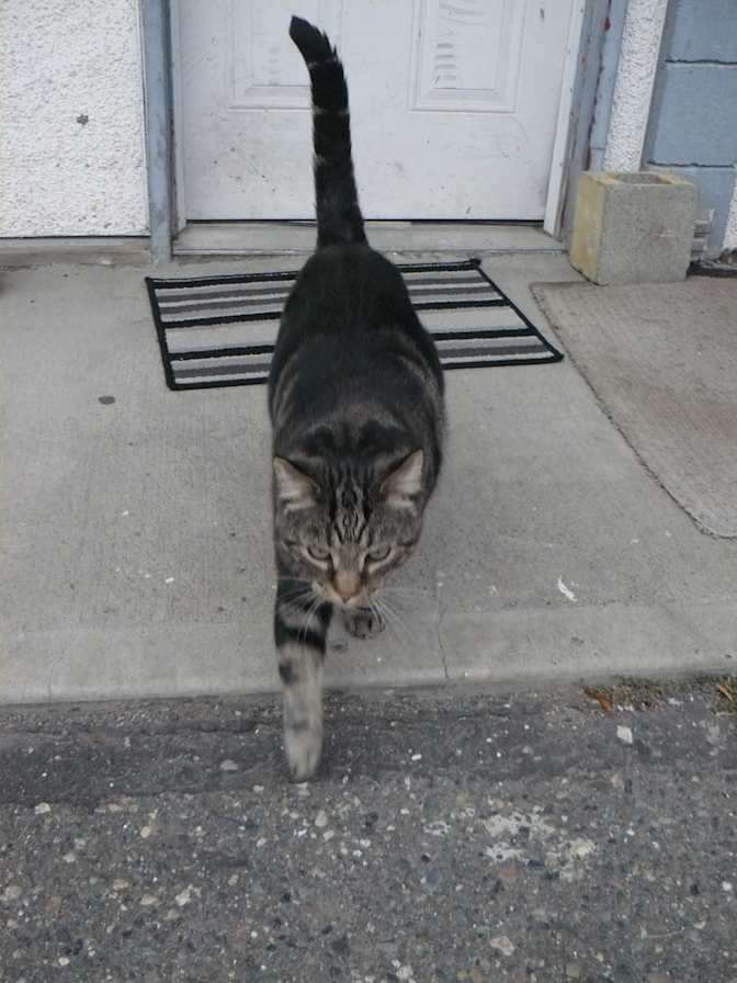 Miss Renee K. Taylor-BA-French's room
