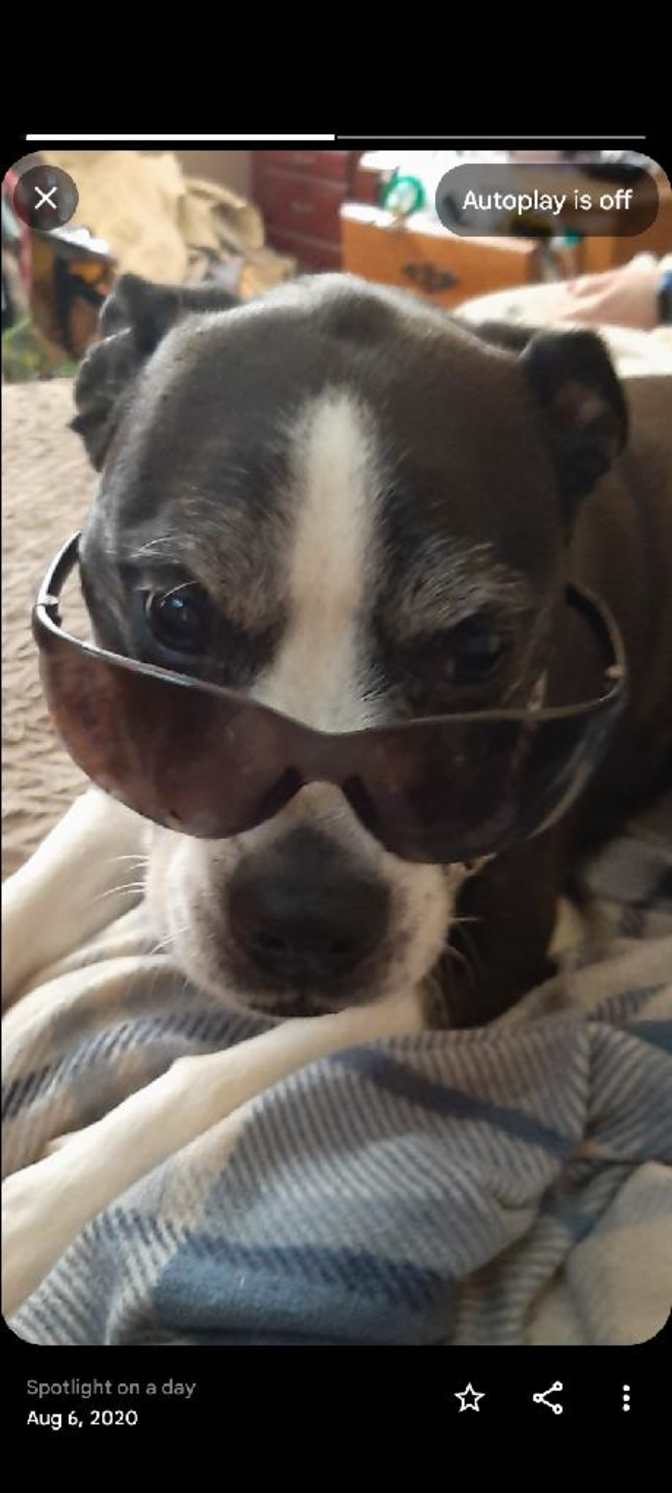 Colleen Whynot's room