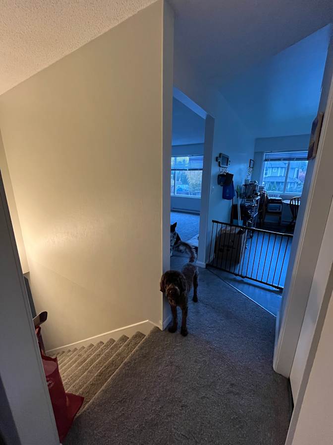 Photo of Milana's room