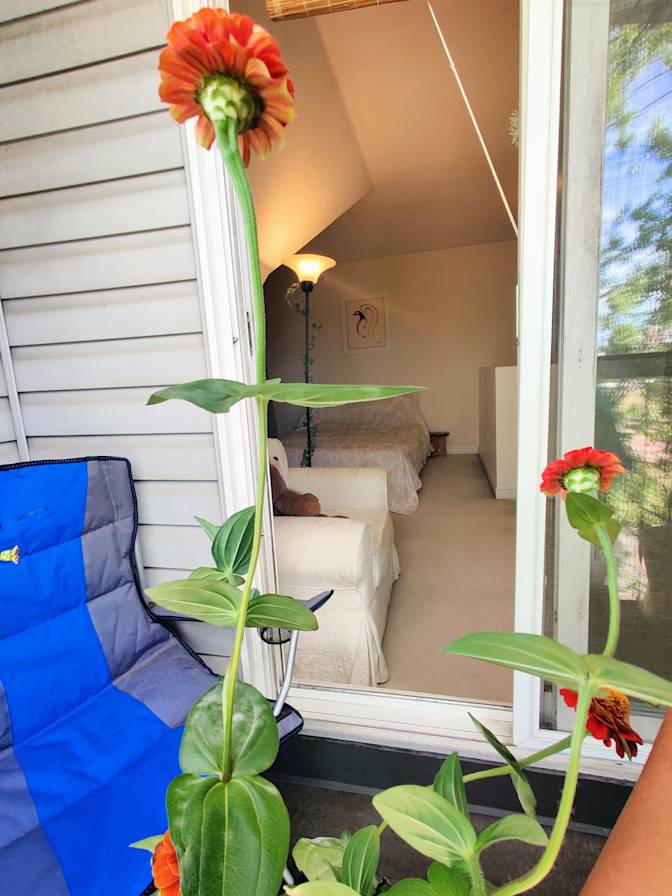 Photo of Khush's room