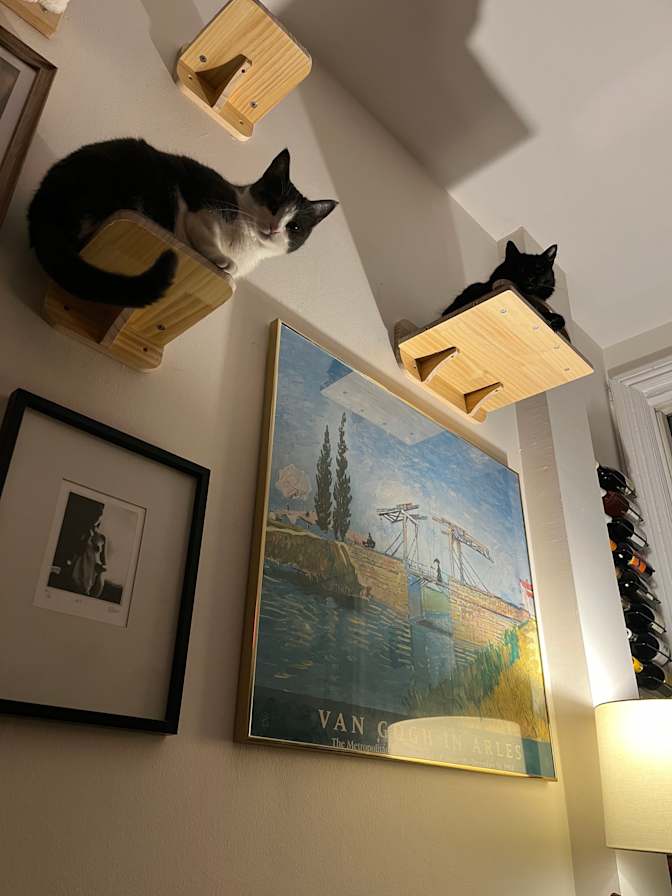 Photo of Dan's room