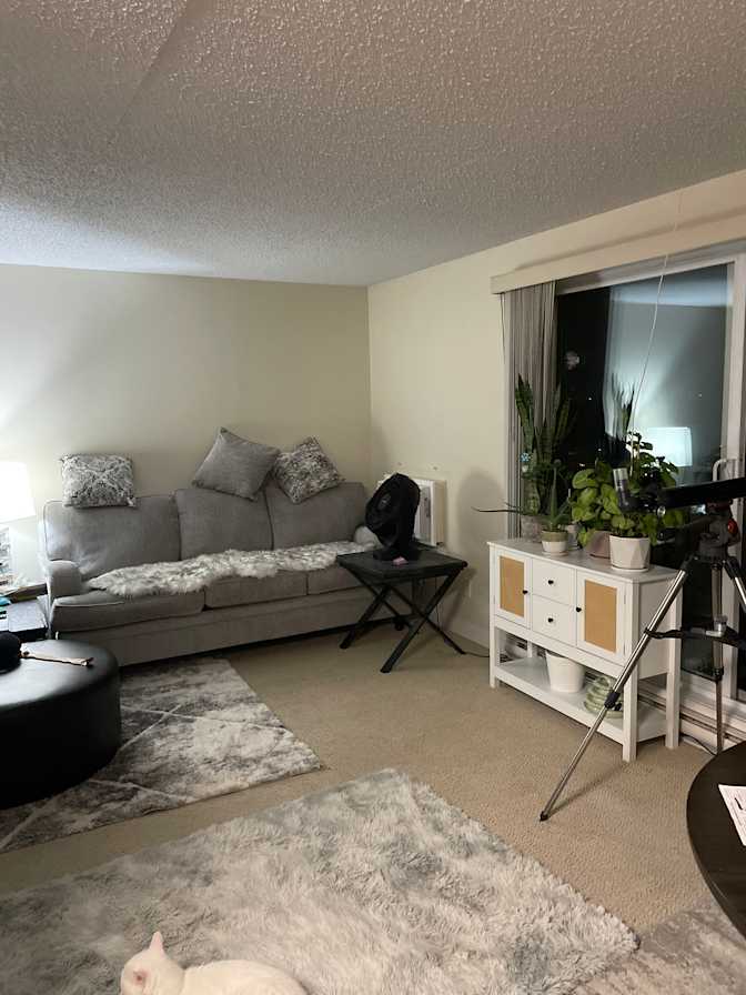 Photo of Carole's room