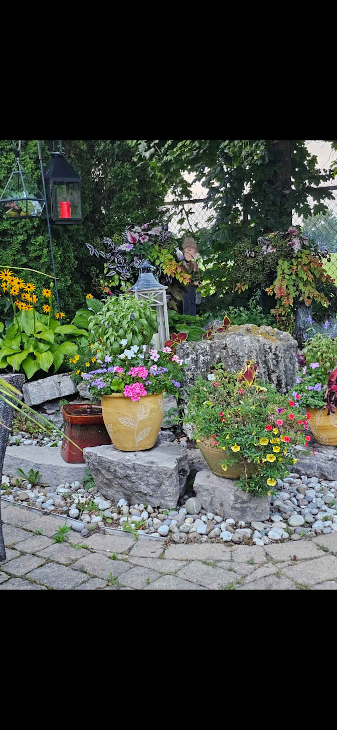 Suzanne Del RIZZO's room