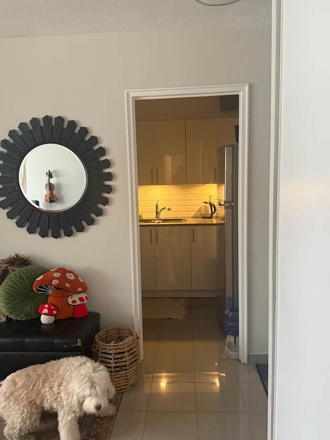 Photo of Jacob's room