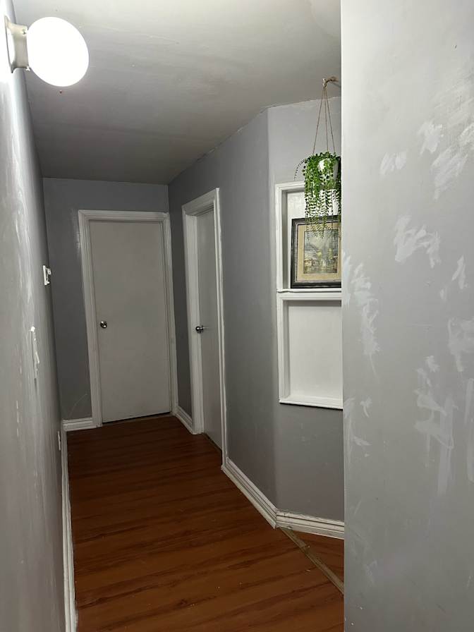 Photo of Brick on Brick's room