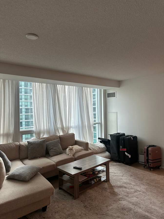 Meera Abu Hejleh's room