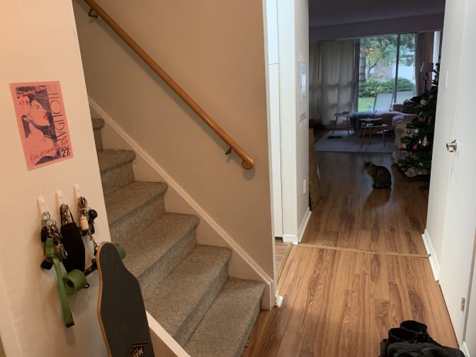 Tony and Eman's room