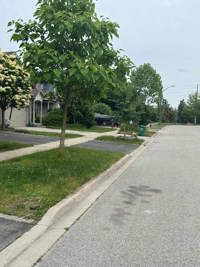 Feras Almasri's room