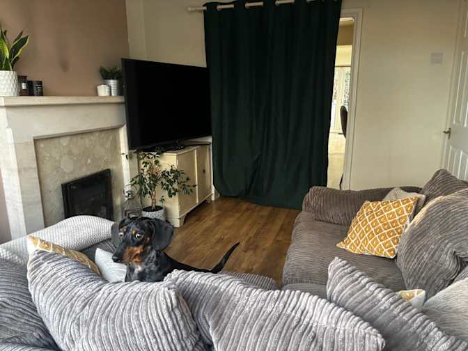 Photo of Alex's room