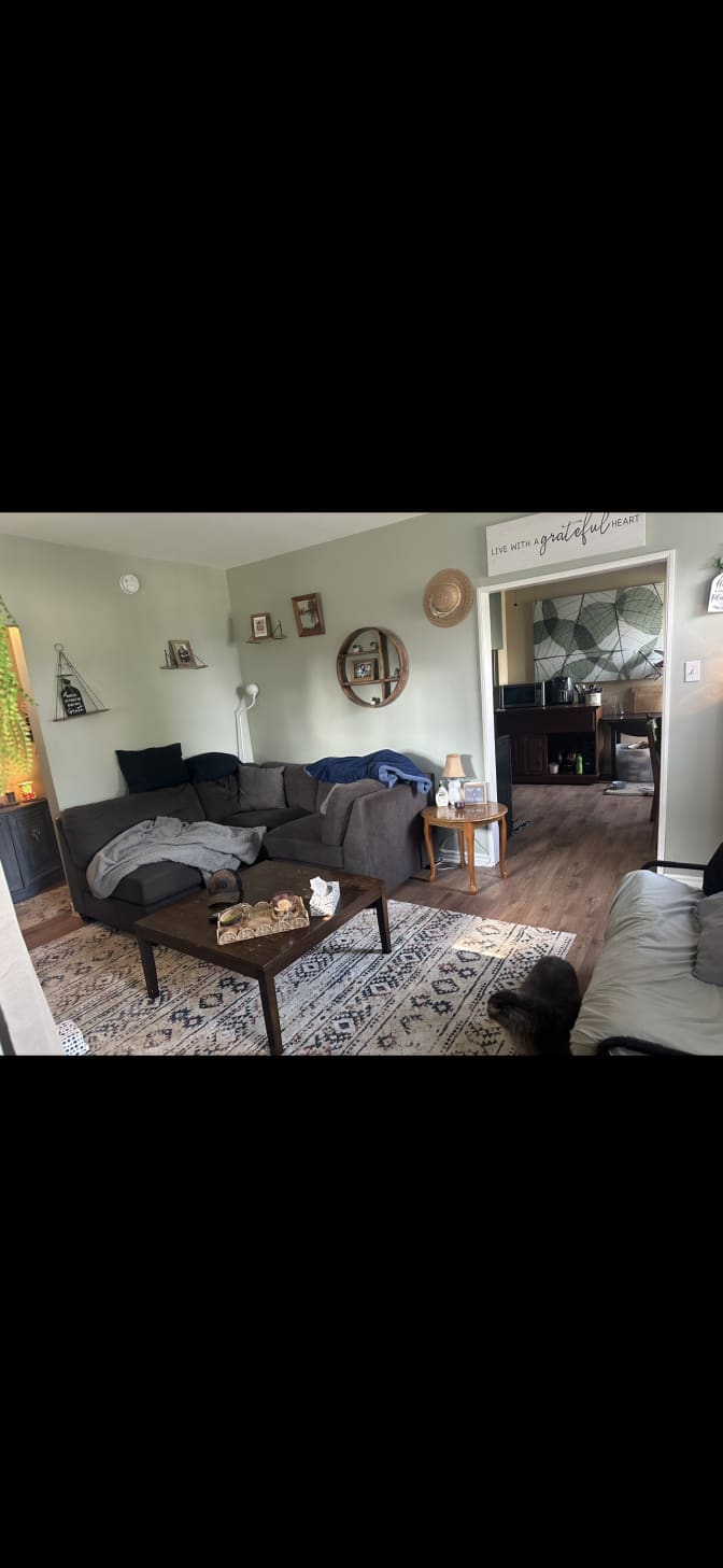 Photo of Rachael's room