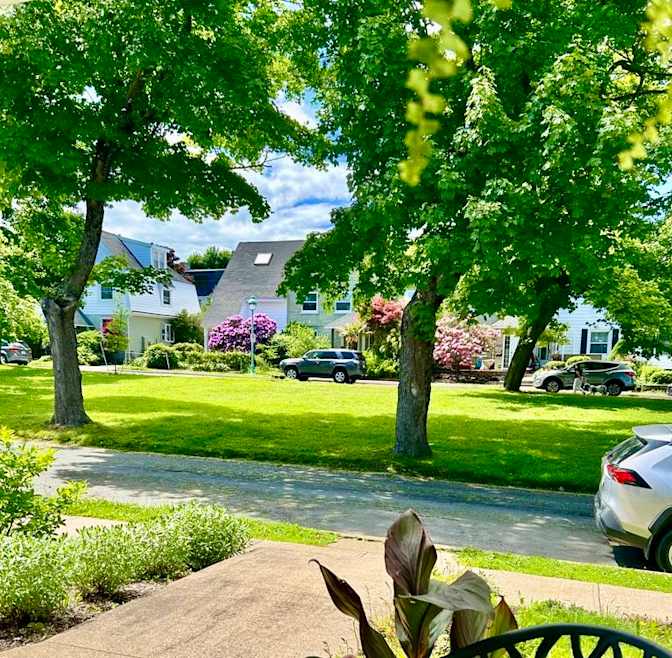 Photo of Elizabeth's room