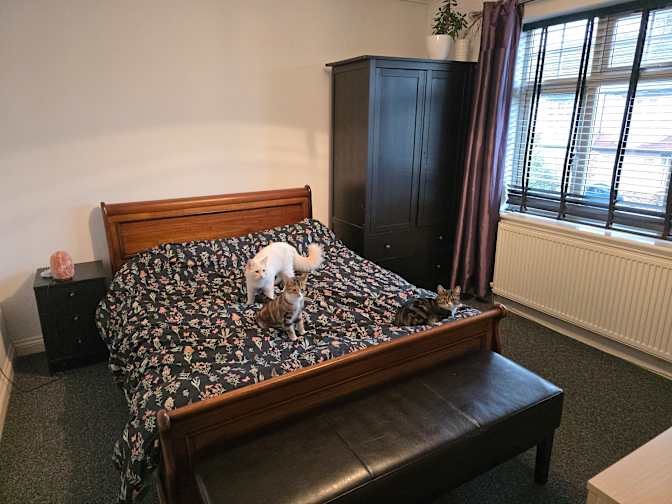 Photo of Robert's room