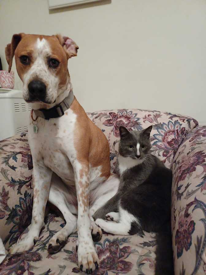 Photo of Ranjith's room