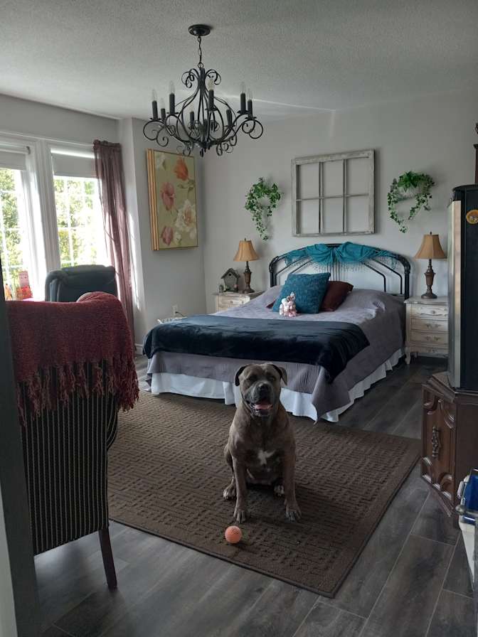 Stephannie Ann Jarrett's room