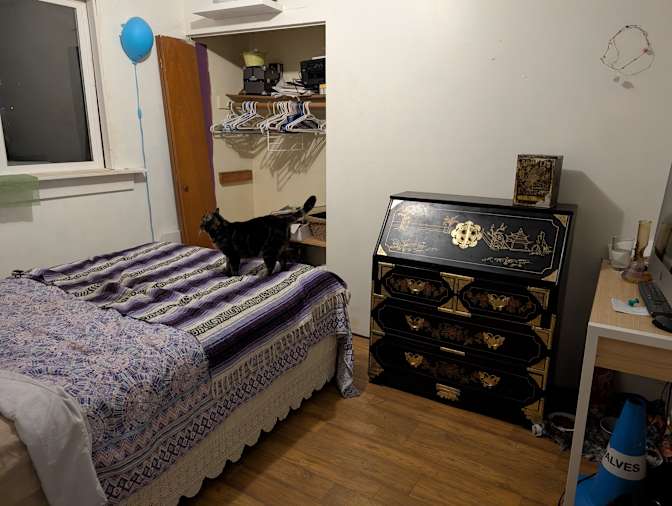 Michelle A Bradshaw's room