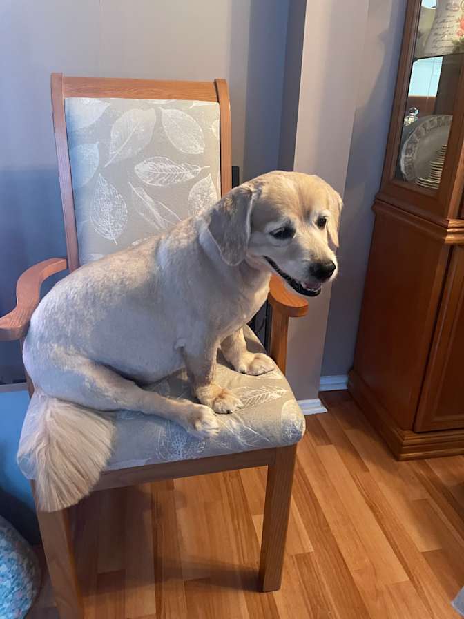 Photo of Frances's room