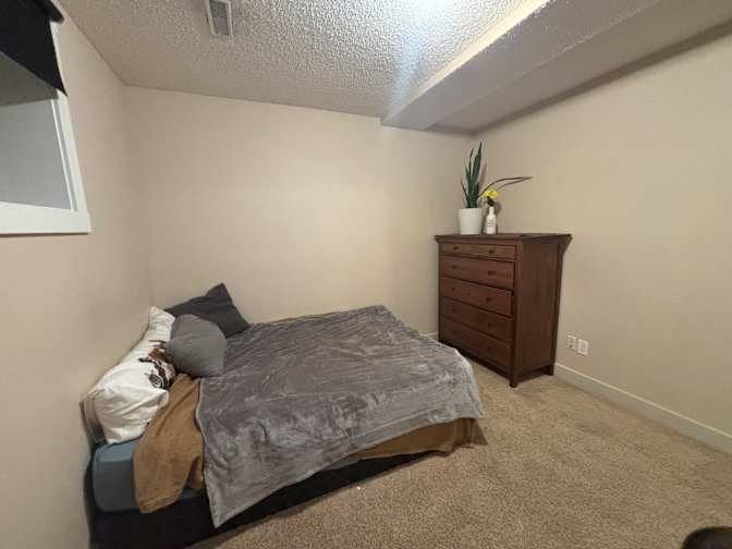 Shauna Collins's room