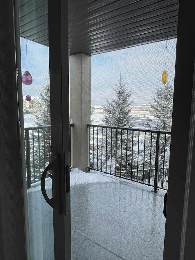 Photo of Laura Lee's room