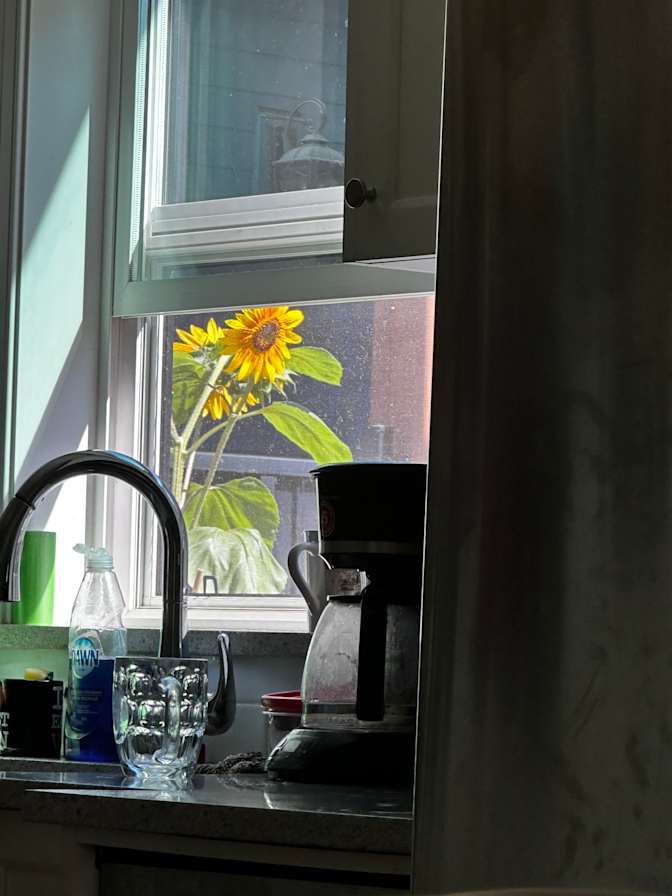 Photo of Constandina's room