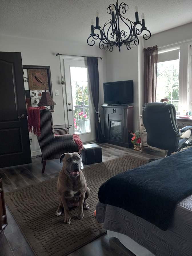 Stephannie Ann Jarrett's room