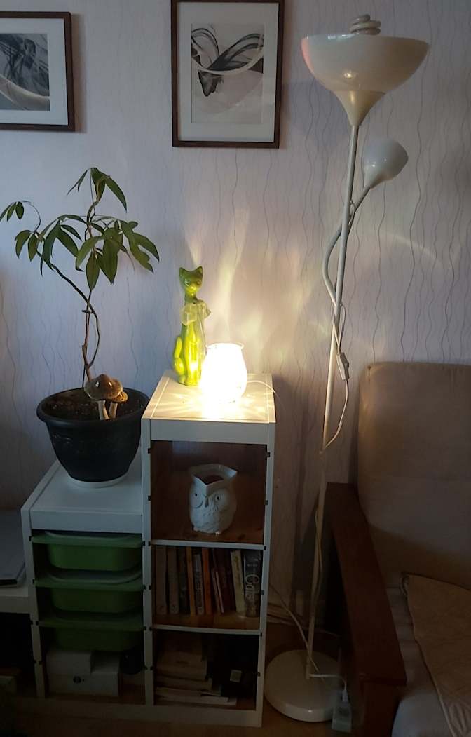 Photo of Gabriela's room