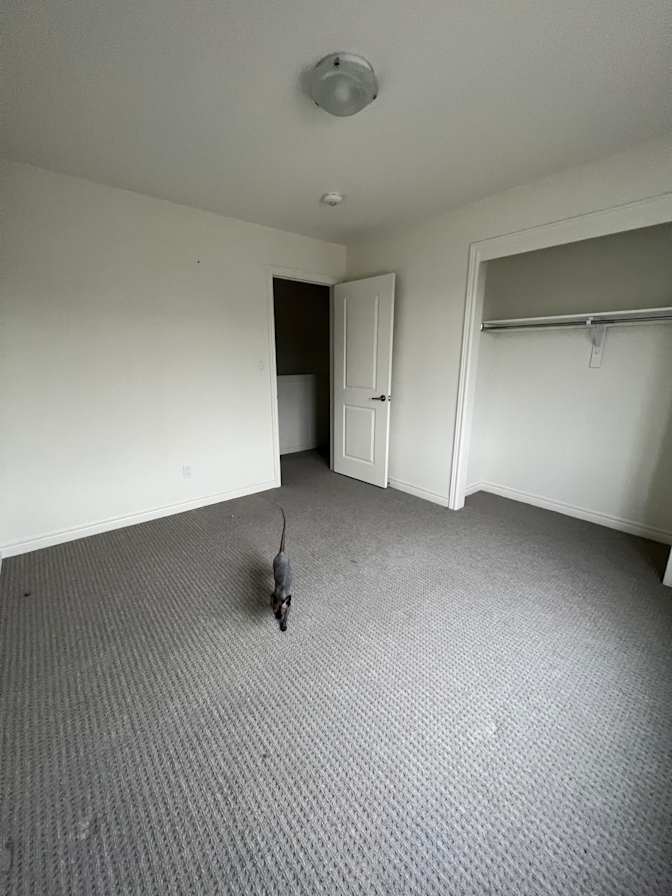 Krystil Lyttleton's room