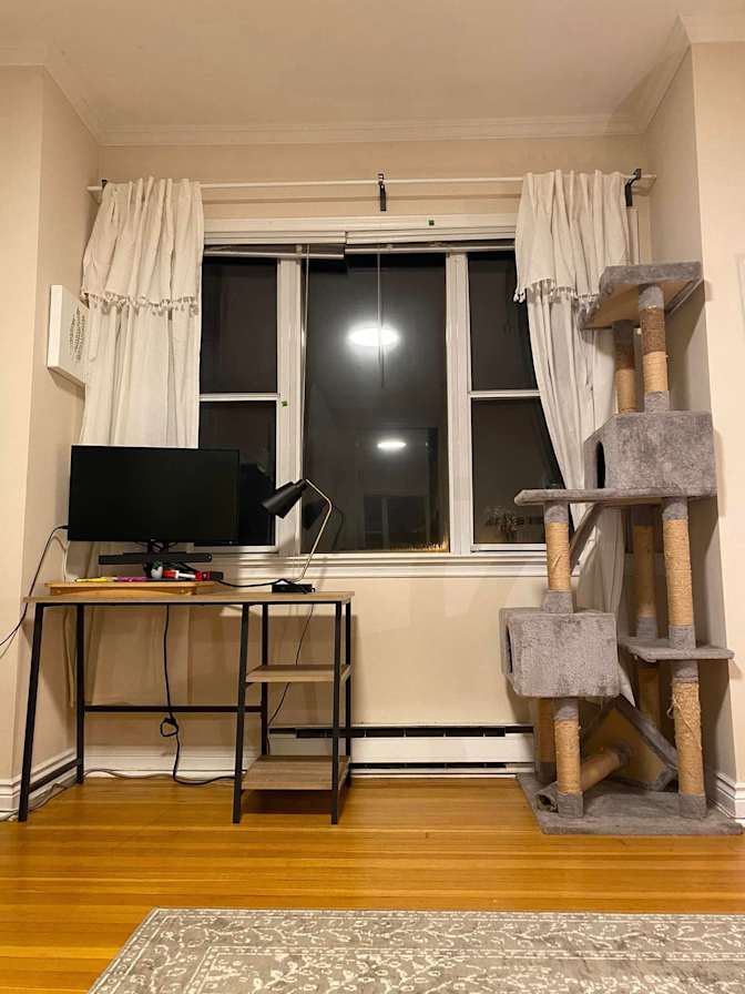 Photo of Kimber's room
