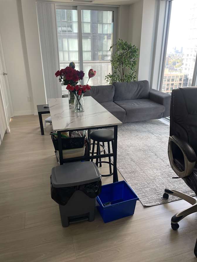 Prameshta Prasath's room