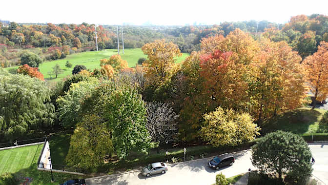 Furnished Room's room