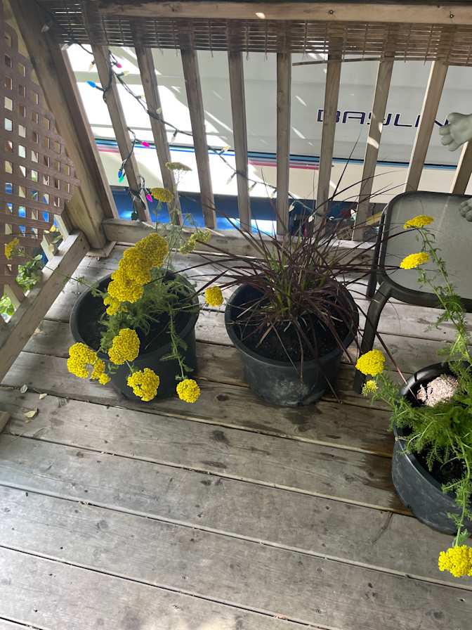 Photo of Adam's room