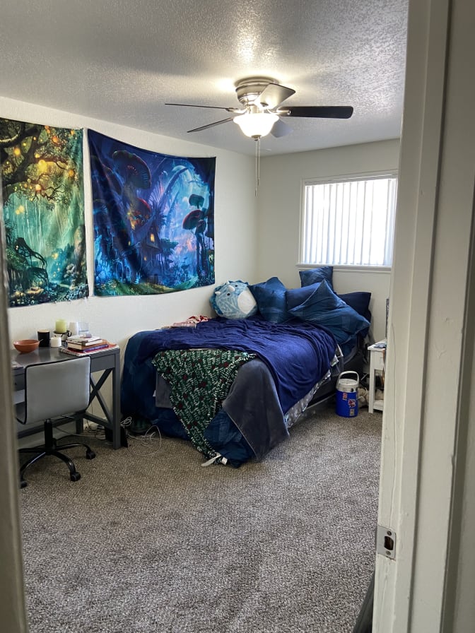 Photo of Adelle's room