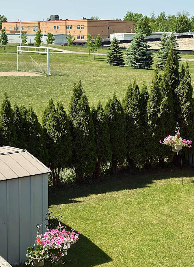 Photo of daniela ab's room