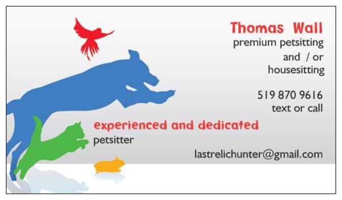 Photo of MTG Player's room