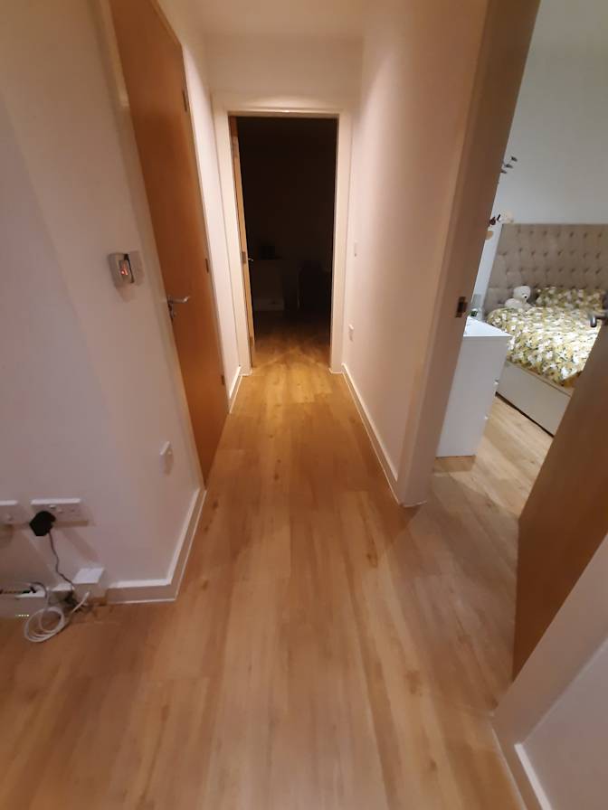 Photo of Divya's room