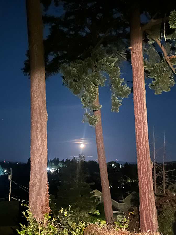 Photo of Colt's room