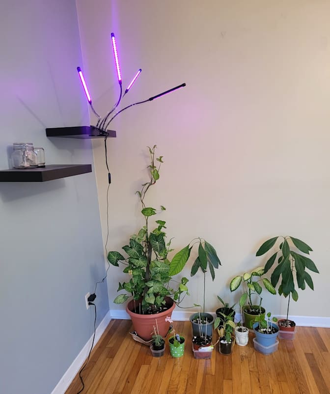 Trois J and J's room