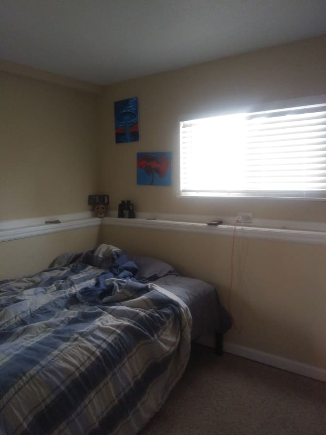 Photo of Caryn's room
