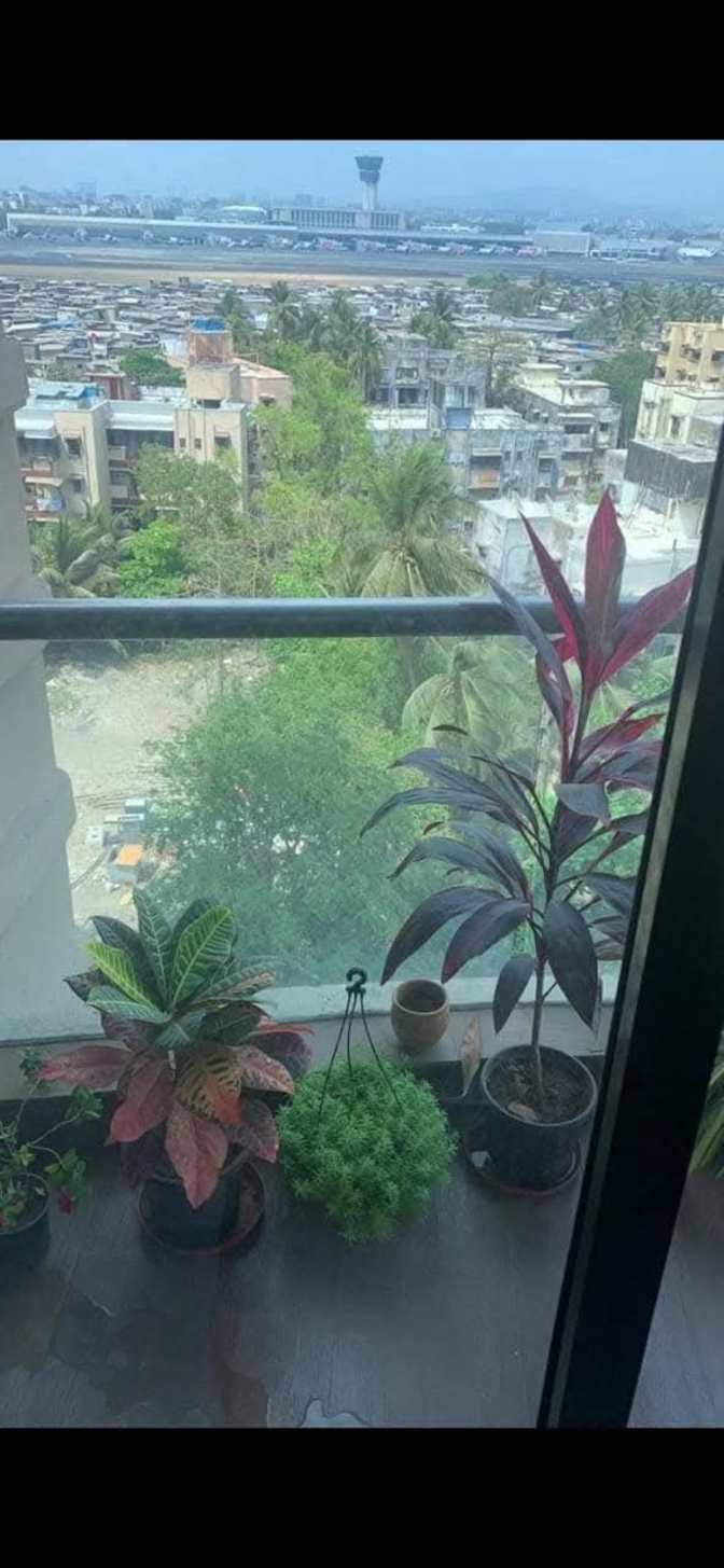 Photo of Mikunj's room